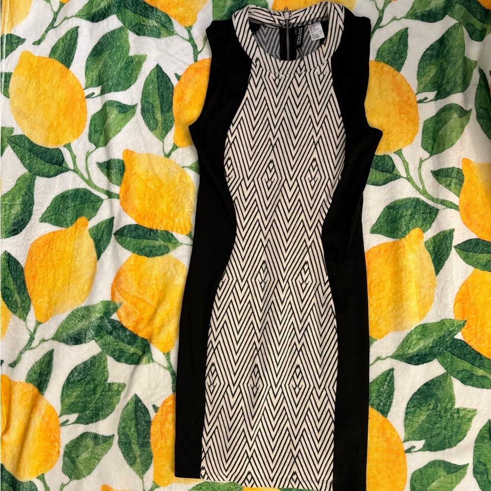 H&M Bodycon Black and Cream Dress